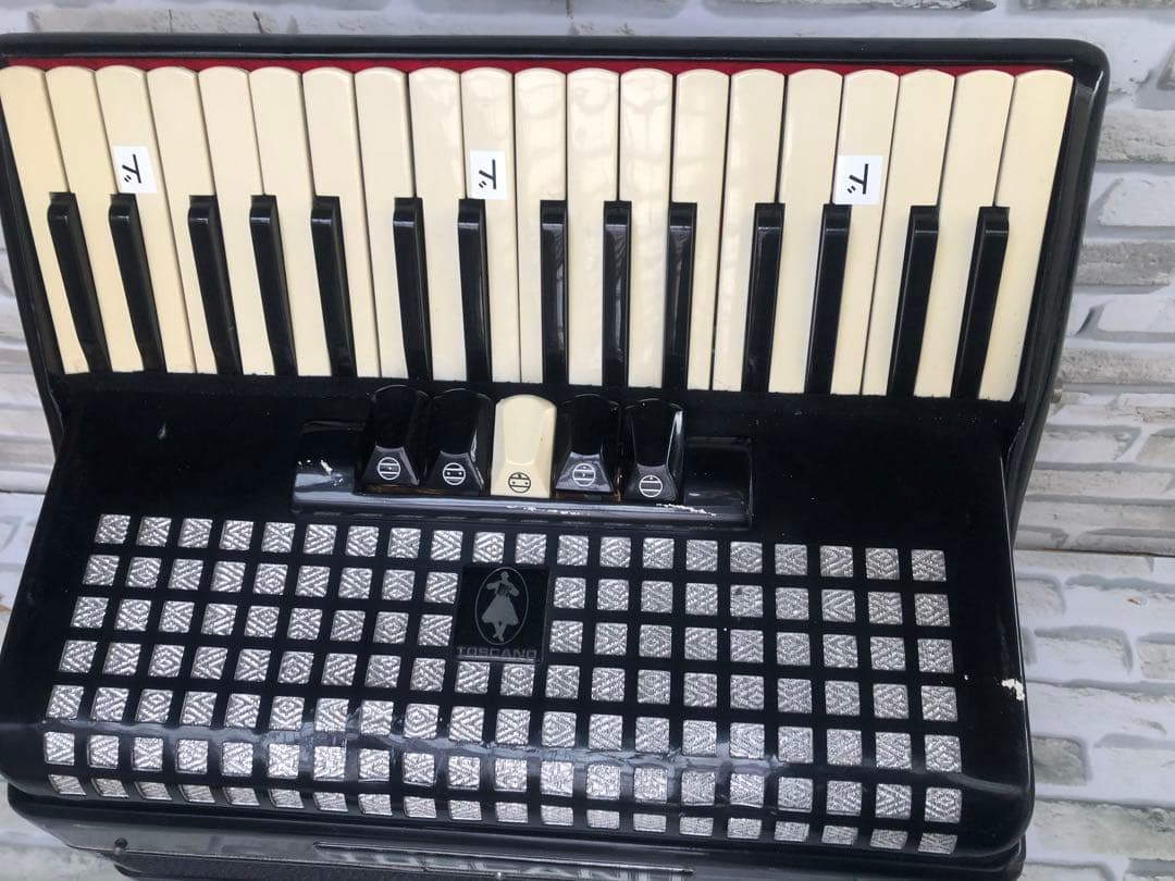 TOSCANO アコーディオン (A164)