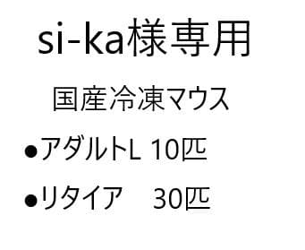 ★si-ka★国産冷凍マウス リタイア30匹 アダルトL10匹