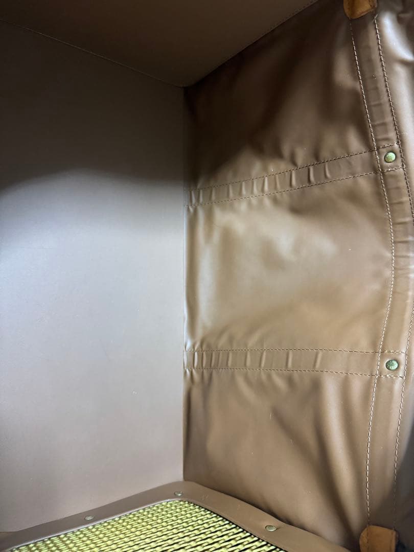 ⭐︎ルイヴィトン　サックシャン50 ペットキャリー