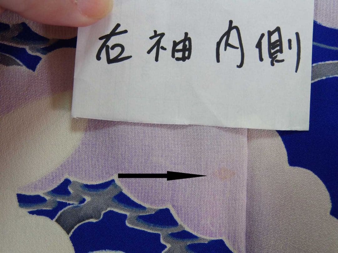 【豪華3点セット】振袖／濃紺地 藤花文様／銀駒刺繍／長襦袢・袋帯付き 晴れの日に