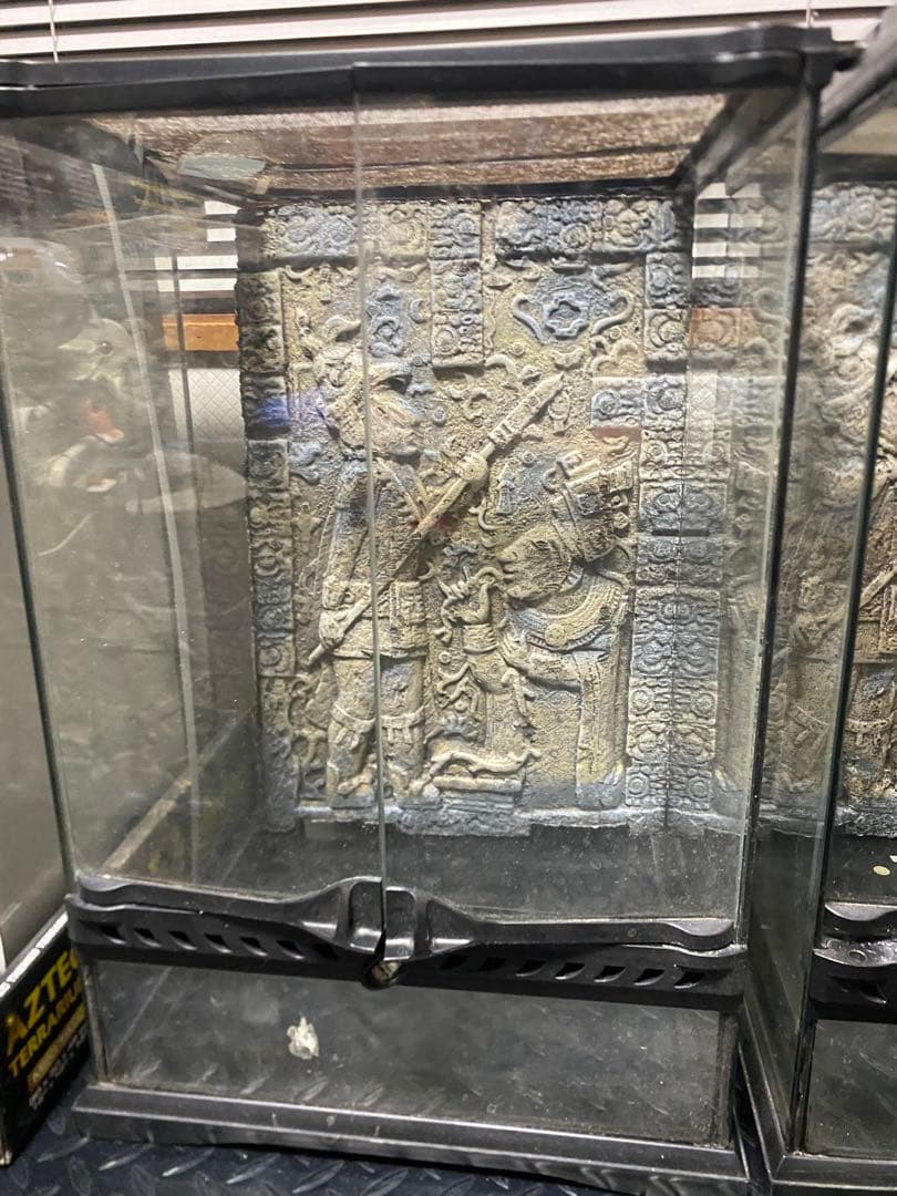 「引取り限定」爬虫類ケージまとめ売り　グラステラリウム アステカキット