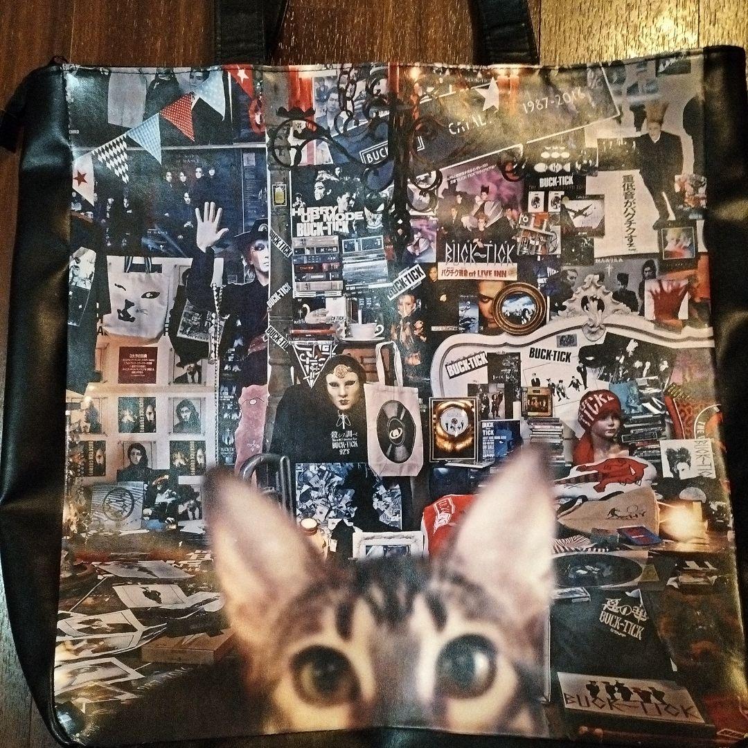 【希少】BUCK-TICK30thジップバッグ