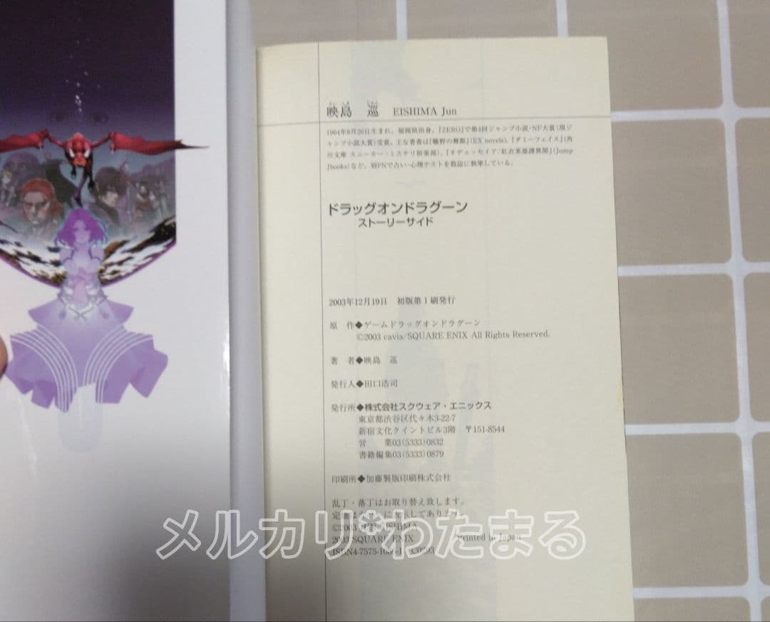 文学・小説 DRAG-ON DRAGOON Story Side