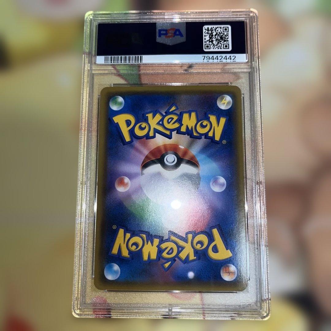 ムサシとコジロウ PSA9