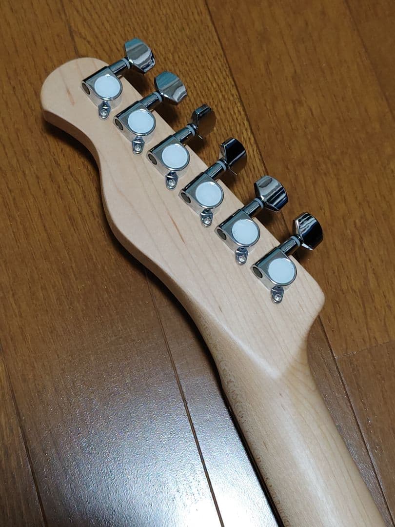 Bacchus テレキャスター ダブルバインドボディ