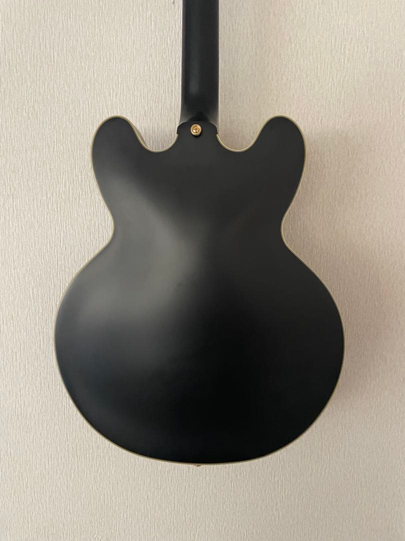 a*a様 Epiphone Emily Wolfe Sheraton Steal