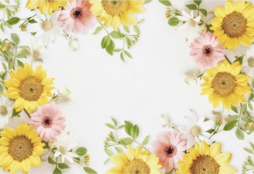 M785.茶犁 白熊少女 マスキングテープ PET