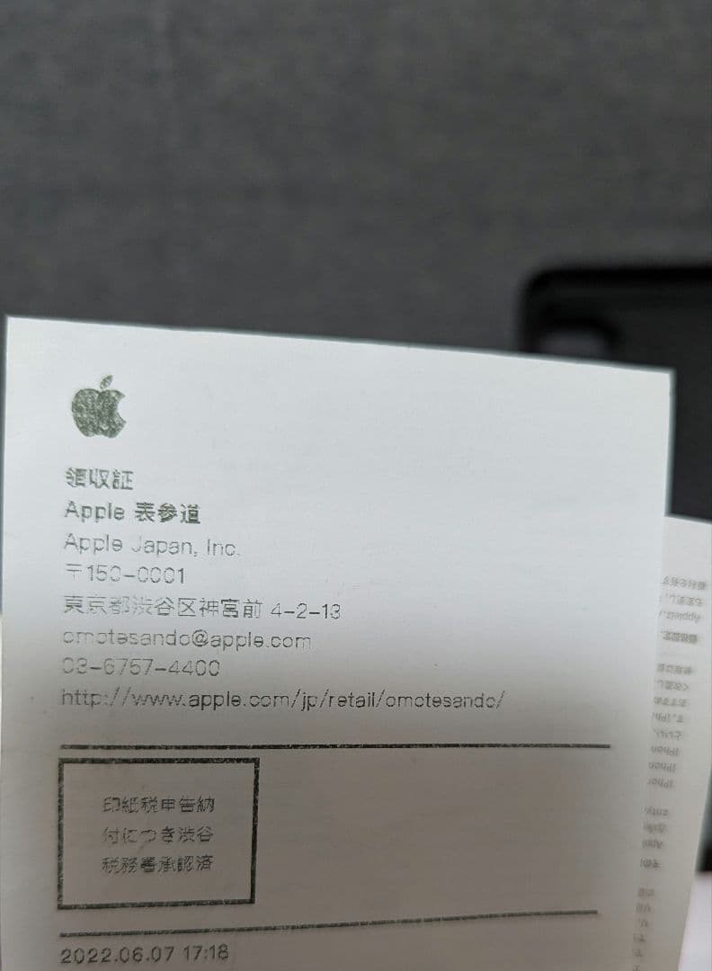 iPad mini 6 256gb (スペースグレー) + Apple Pen