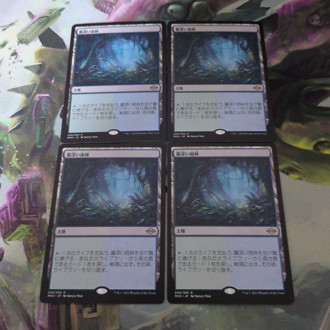 霧深い雨林 4枚セット