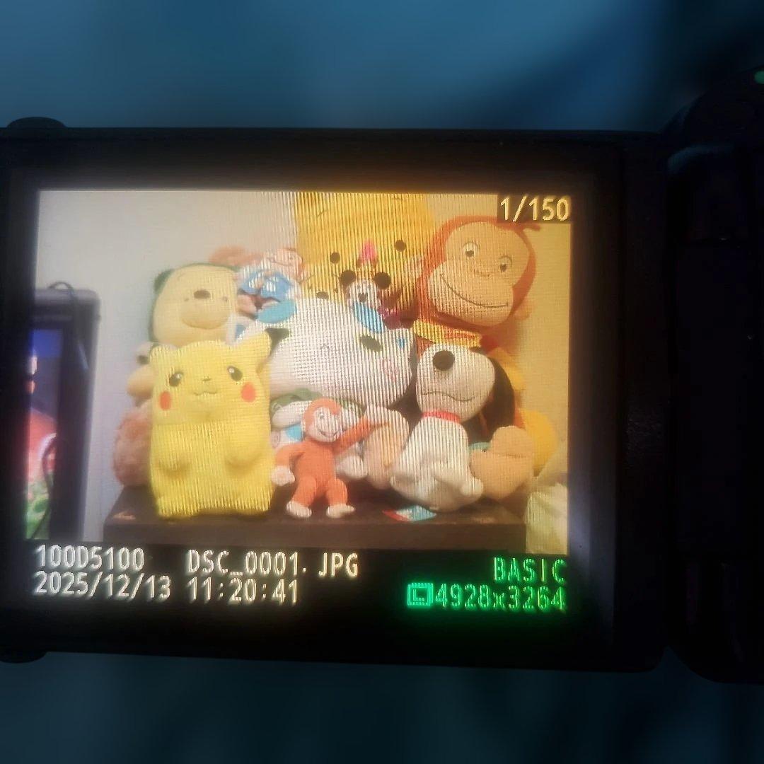 Nikon D5100 訳あり