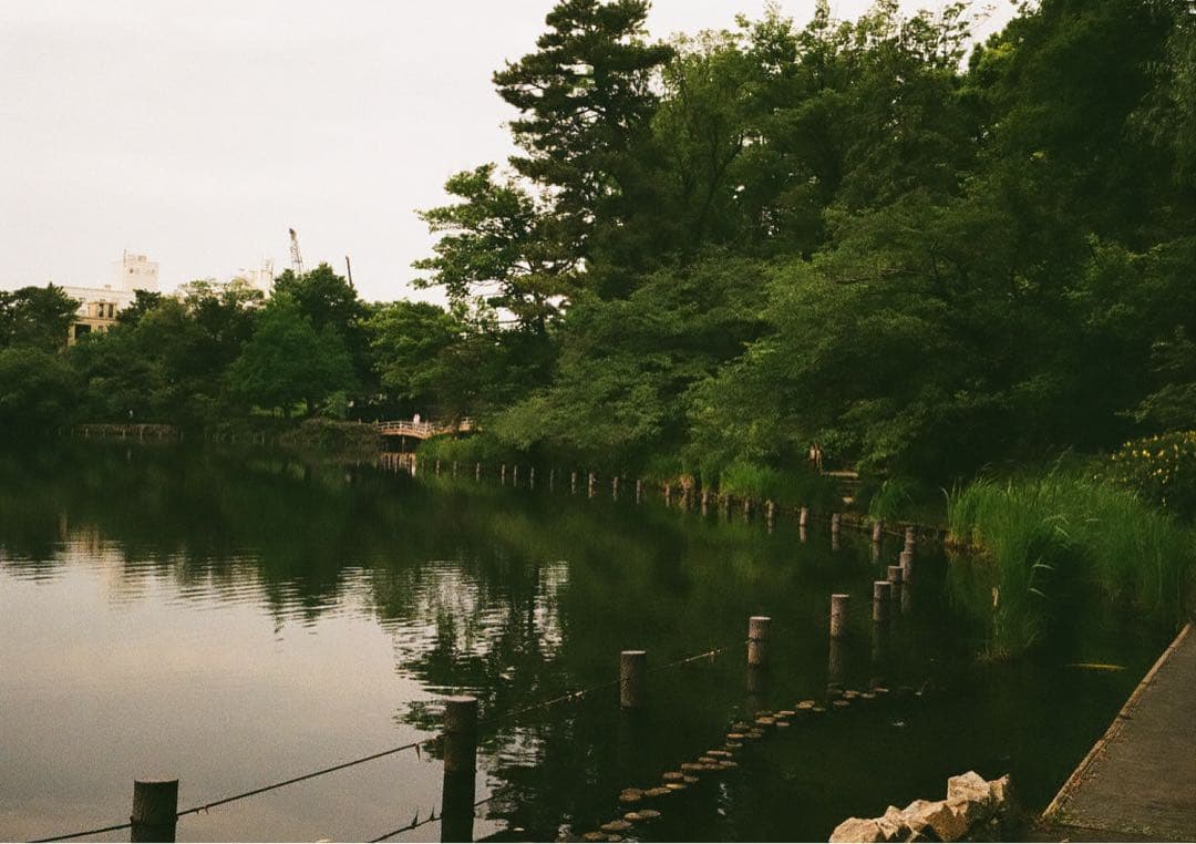 ✴️シボ革グリーンレザー✴️実写・分解整備済✴️オリンパスPEN EE-3 完動品‼️