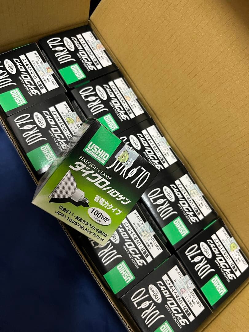 USHIO JDR110V100W ハロゲンランプ 12個セット