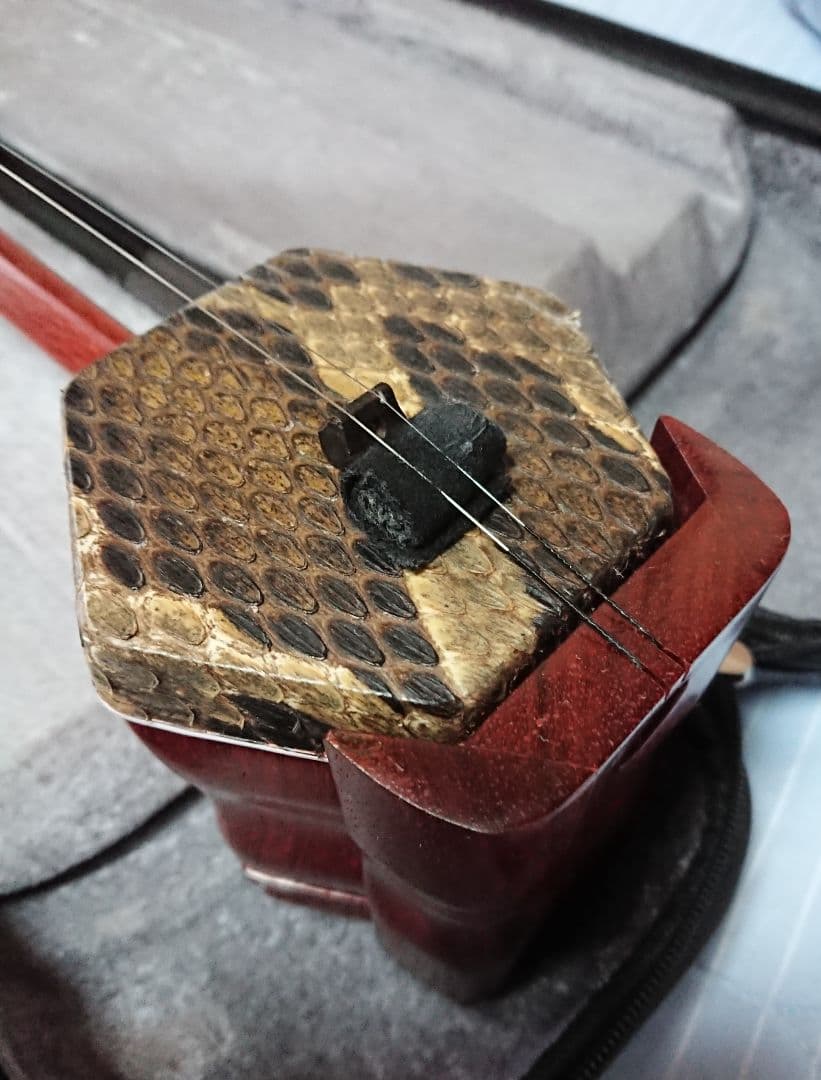 二胡  (紅木）弦 弓 ケース付き