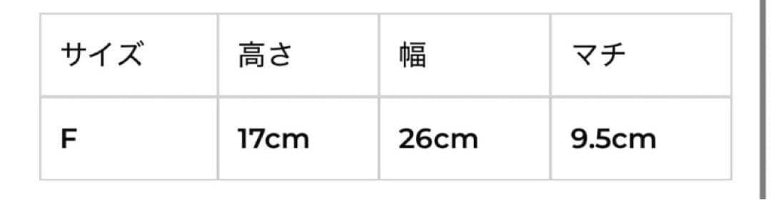 beeden MINI B LOGO BAG BLACK ブラック