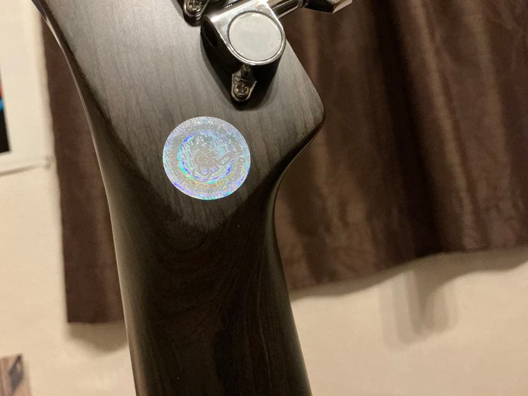 Bacchus BTE-TW オールローズ風 テレキャスター ジョージハリスン