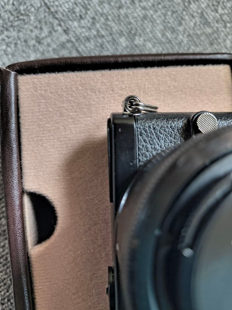 Panasonic LUMIX GM1 レンズキット 専用ケース付き