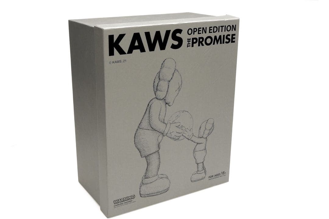 その他 KAWS THE PROMISE GREY