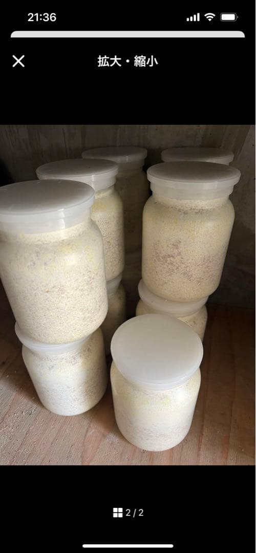 カワラ菌糸ビン1100 10本セット