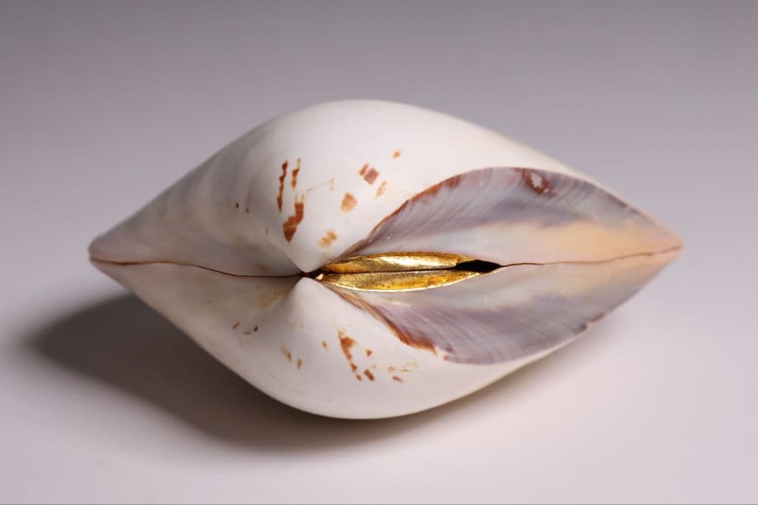 貝合せ 池坊専好立花図 四十五世 池坊専永 箱書 香合 華道 金彩【MA908】