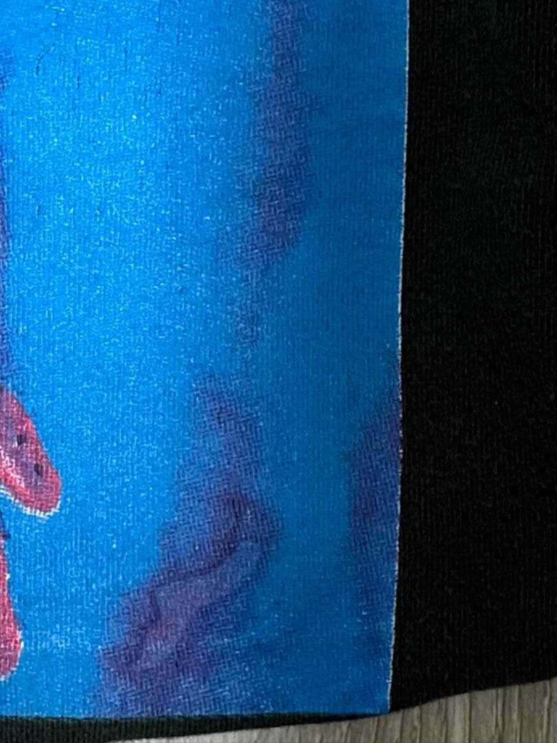 【美品】Nirvana sliver vintage Tシャツ 90s XL