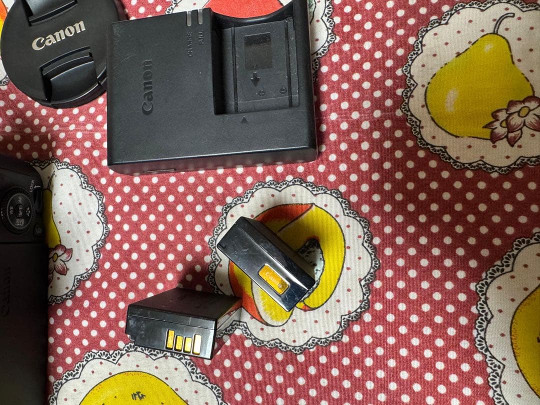 Canon EOS 9000D カメラセット