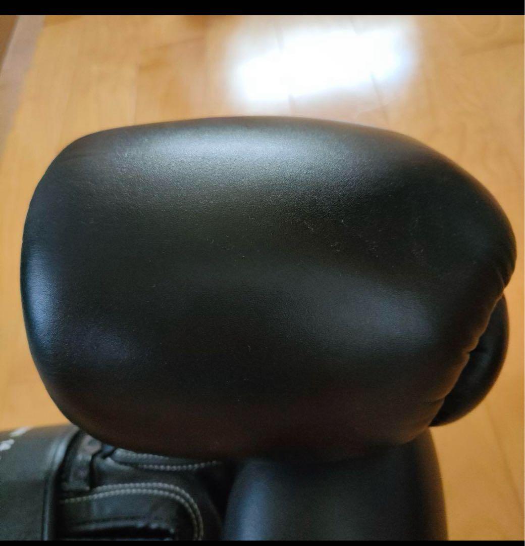 WINDY グローブ 14 oz