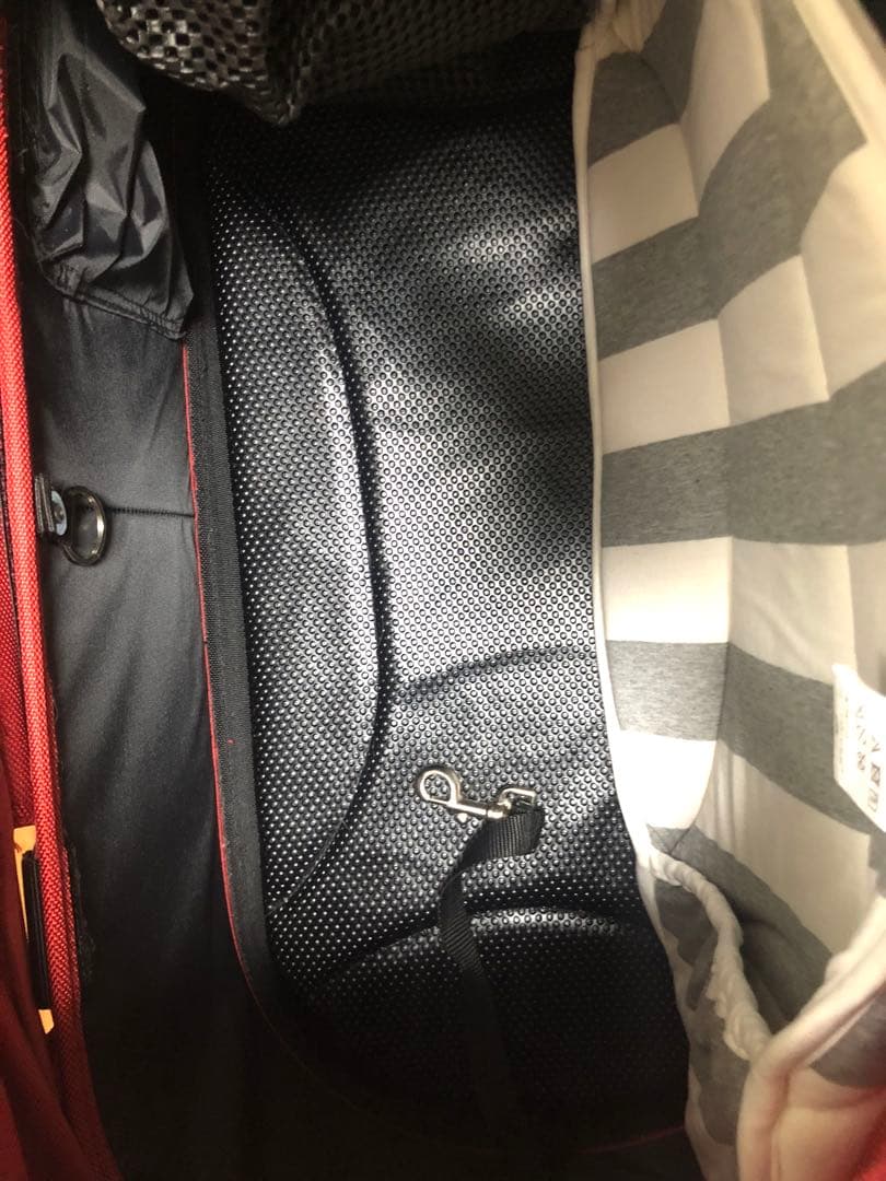 エアバギー AirBuggy for Dog ドーム M ピンク