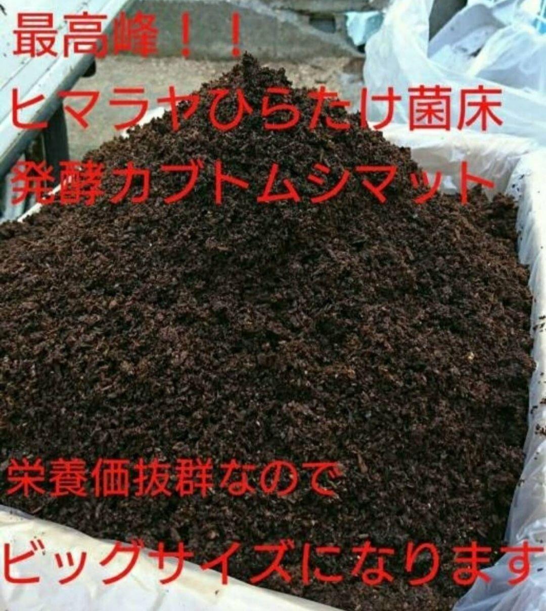 たっぷり200リットル☆大量飼育に！カブトムシ幼虫専用発酵マット☆産卵にも抜群！