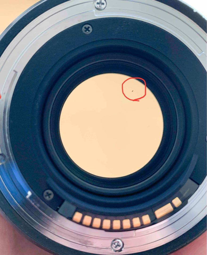 ※ニーナ　SIGMA Art 135mm F1.8 DG HSM EF