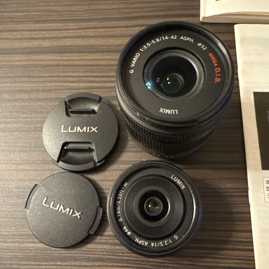 【動作良好】Panasonic LUMIX GF2