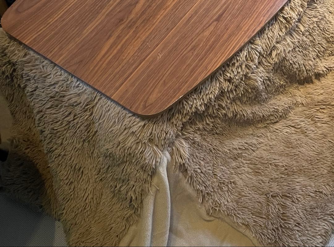 専用　東谷長方形テーブル50✖️90高さ35cm 折りたたみこたつ布団付