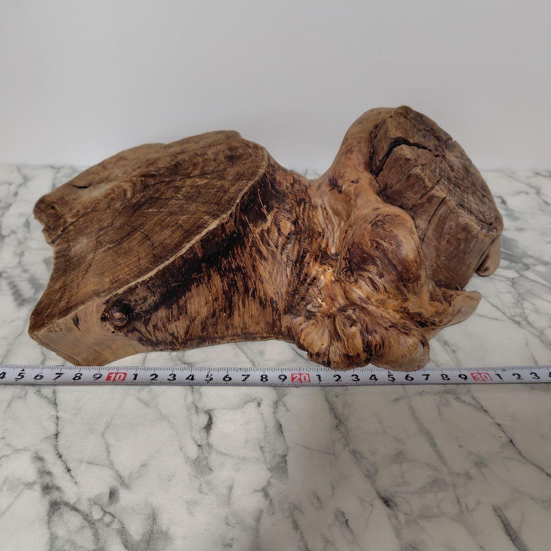 アク抜き済み流木【869】