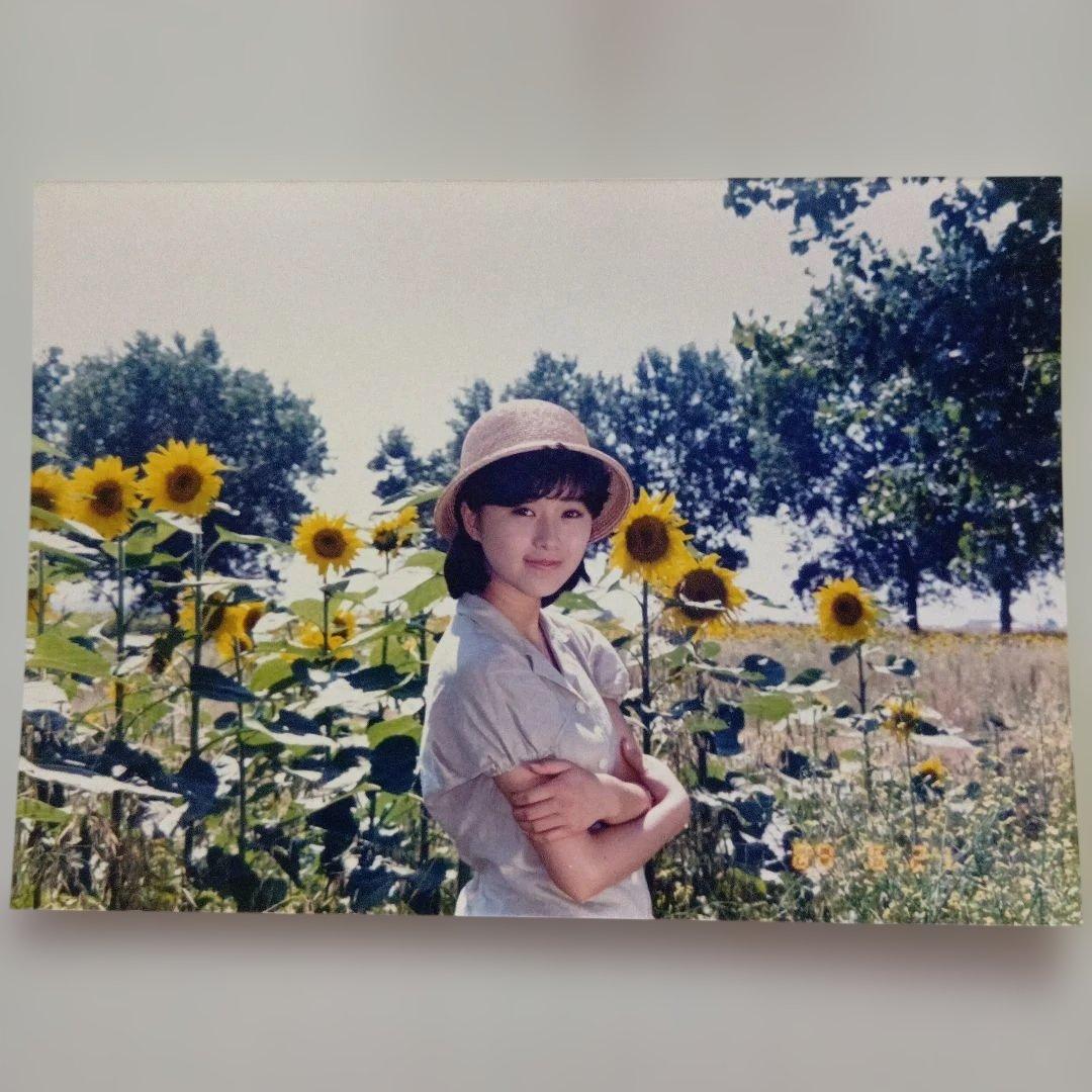 酒井法子 のりピー 生写真 18枚セット