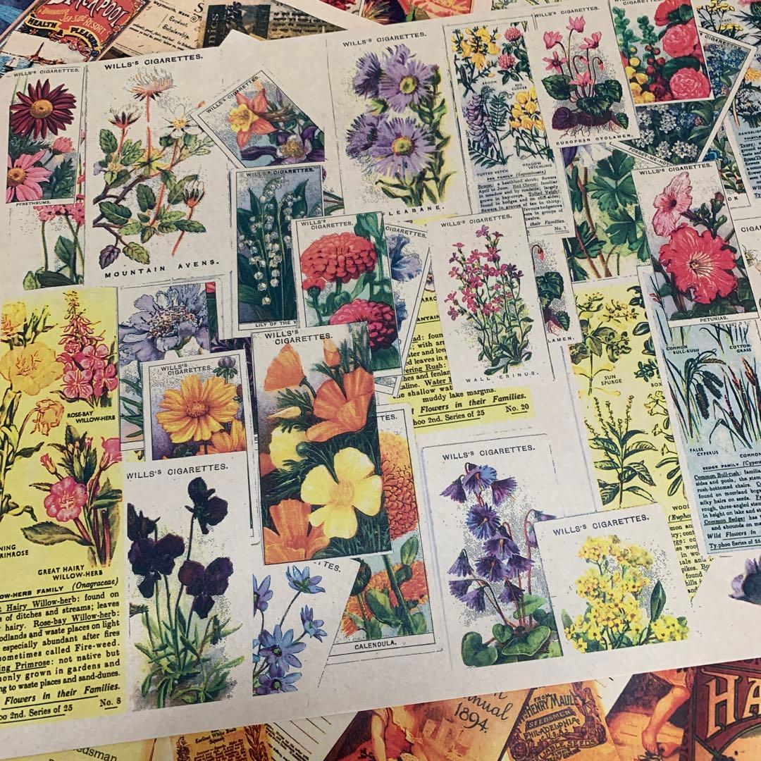 包装紙32×45×100枚