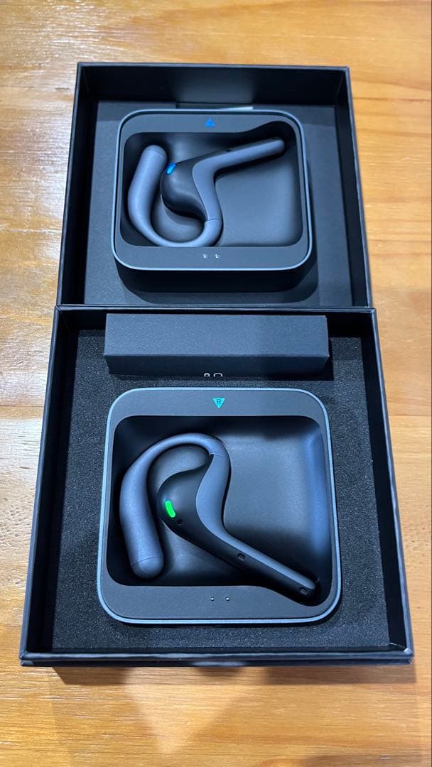 Timekettle W4 Pro イヤホン 超美品 （AI翻訳機）