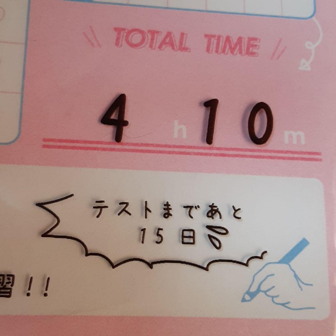 ❤計画好き(❁ᴗ͈ˬᴗ͈)新品　スタディープランナー用紙