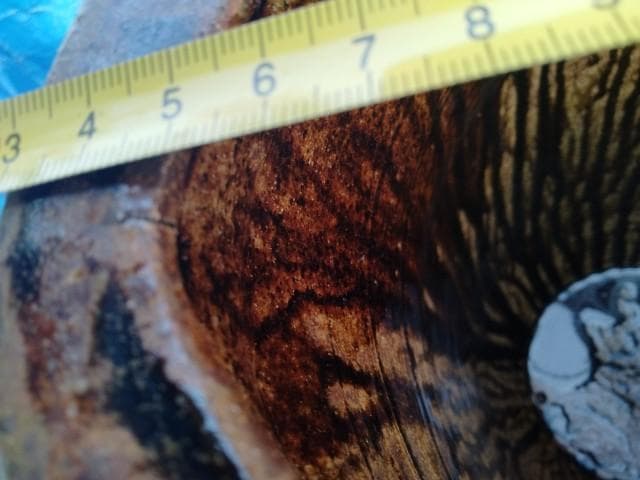 高取焼　笹山登古 壺　瓶　 鉢　広口 　底20口29/31高44cm