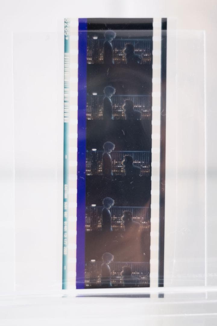 涼宮ハルヒの消失　フィルム　劇場特典　配布品　非売品