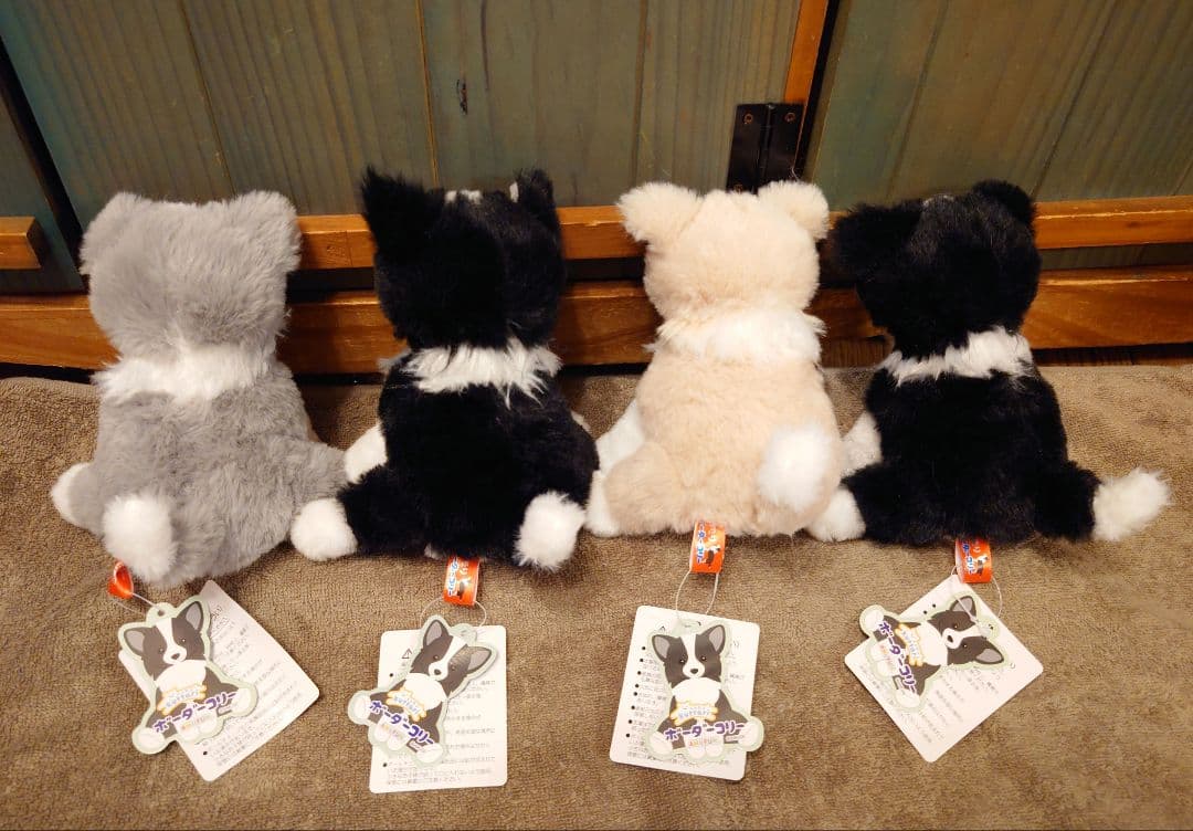 くったりボーダーコリー【新作】おりこうさん STコンプリート