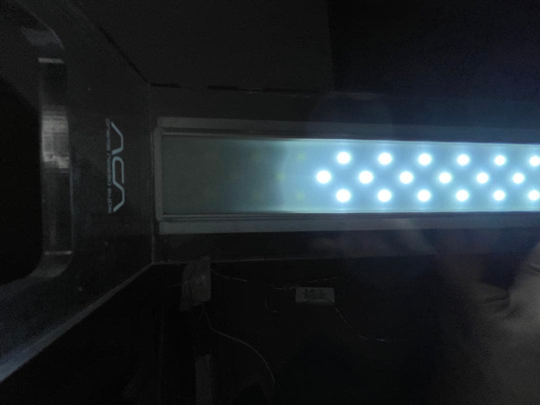 マスオさん専用ADA 水槽 45センチ　アクアスカイG45 ada