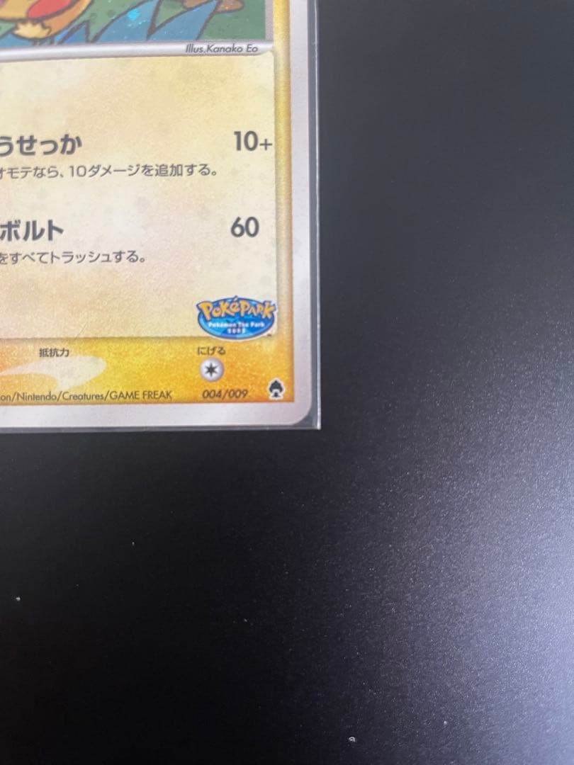 ハ*ス様 ポケパークのピカチュウ 004/009