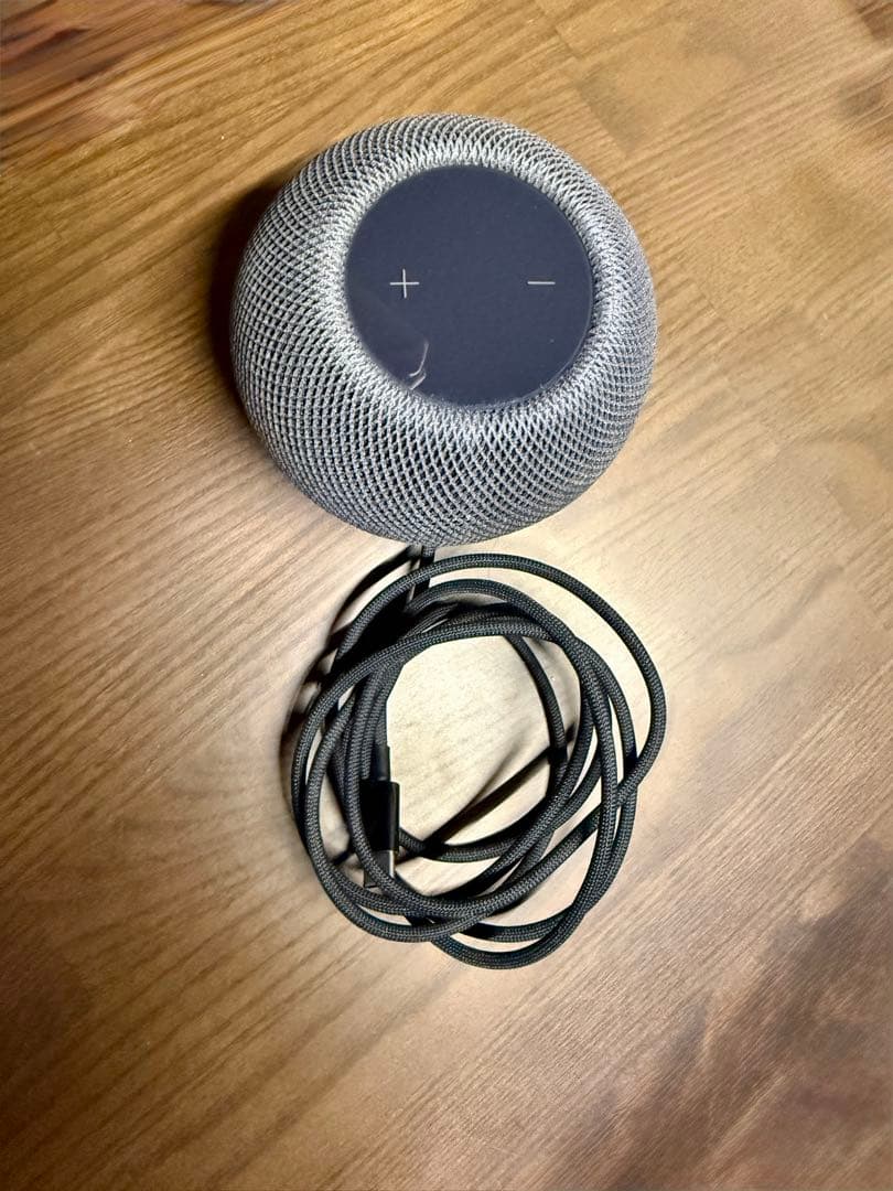 Apple Pod Mini スペースグレイ