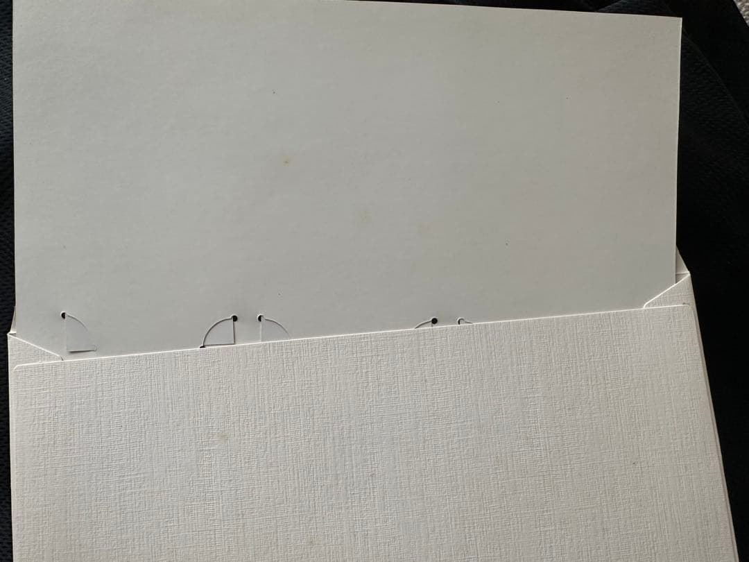 美品未使用。天皇陛下御即位記念乗車券3枚セット