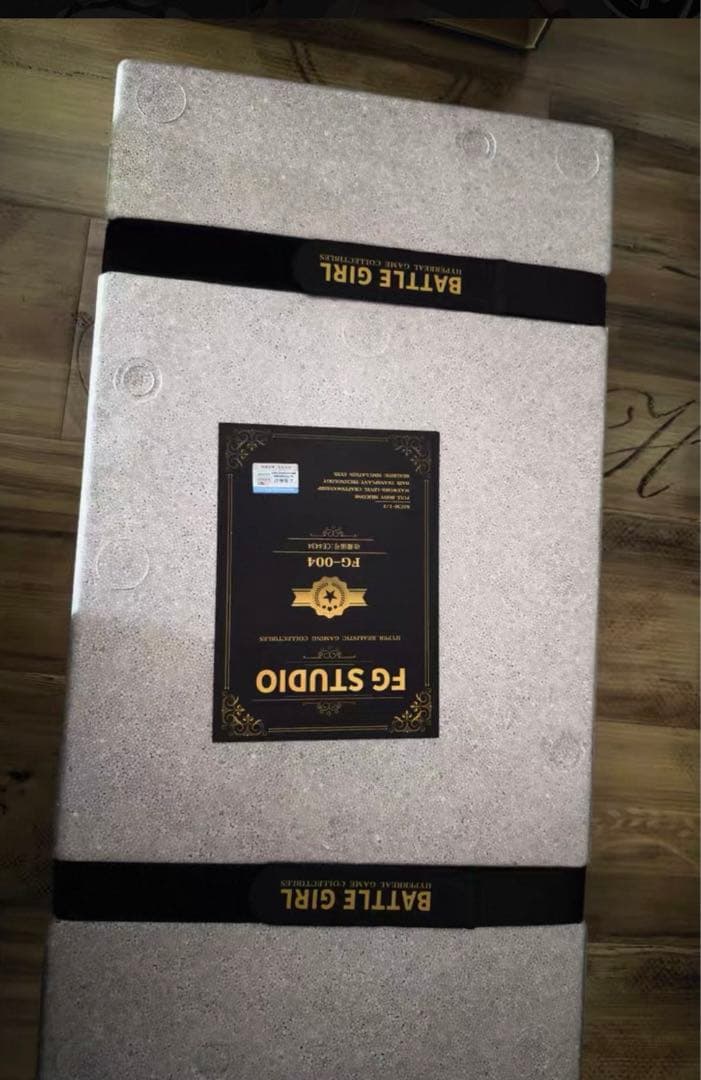 バイオハザード エイダ·ウォン 1／3スケール 可動フィギュア ガレージキット