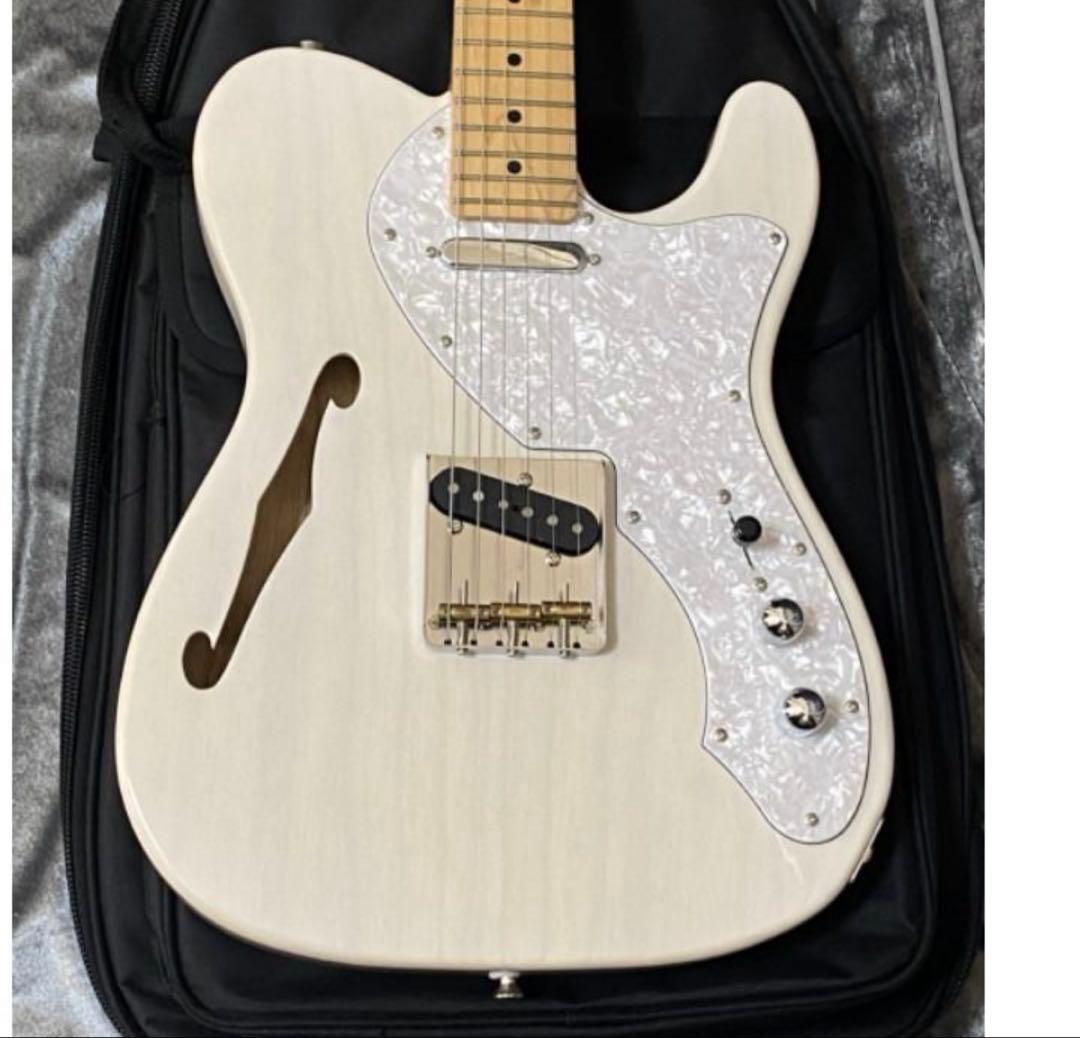 FUJIGEN NTE10MAHT テレキャスターシンライン 国産本格モデル