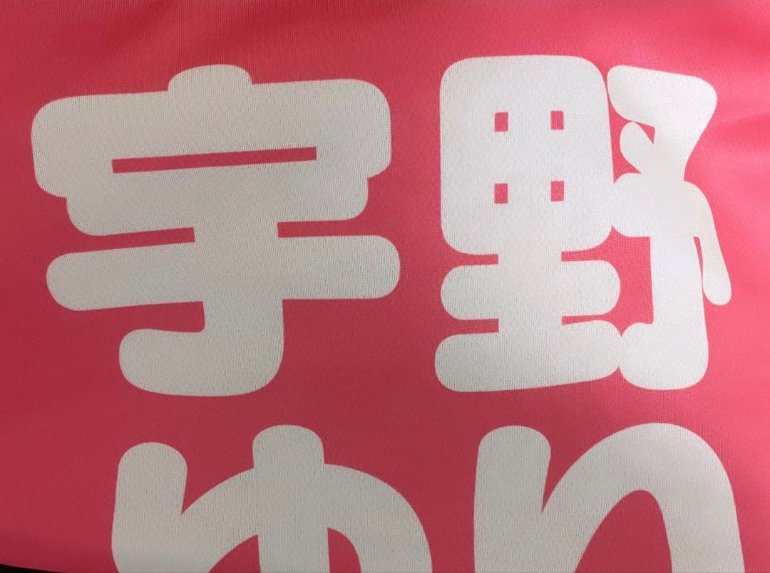 iON 宇野ゆり 実写ビブス