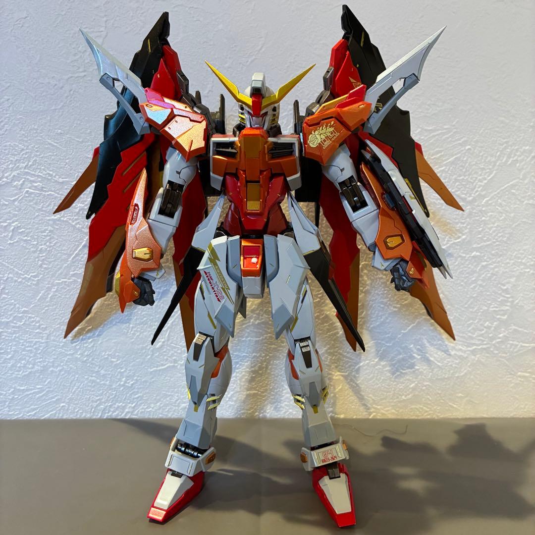 L BUILD メタルビルド ハイネ機 デスティニーガンダム