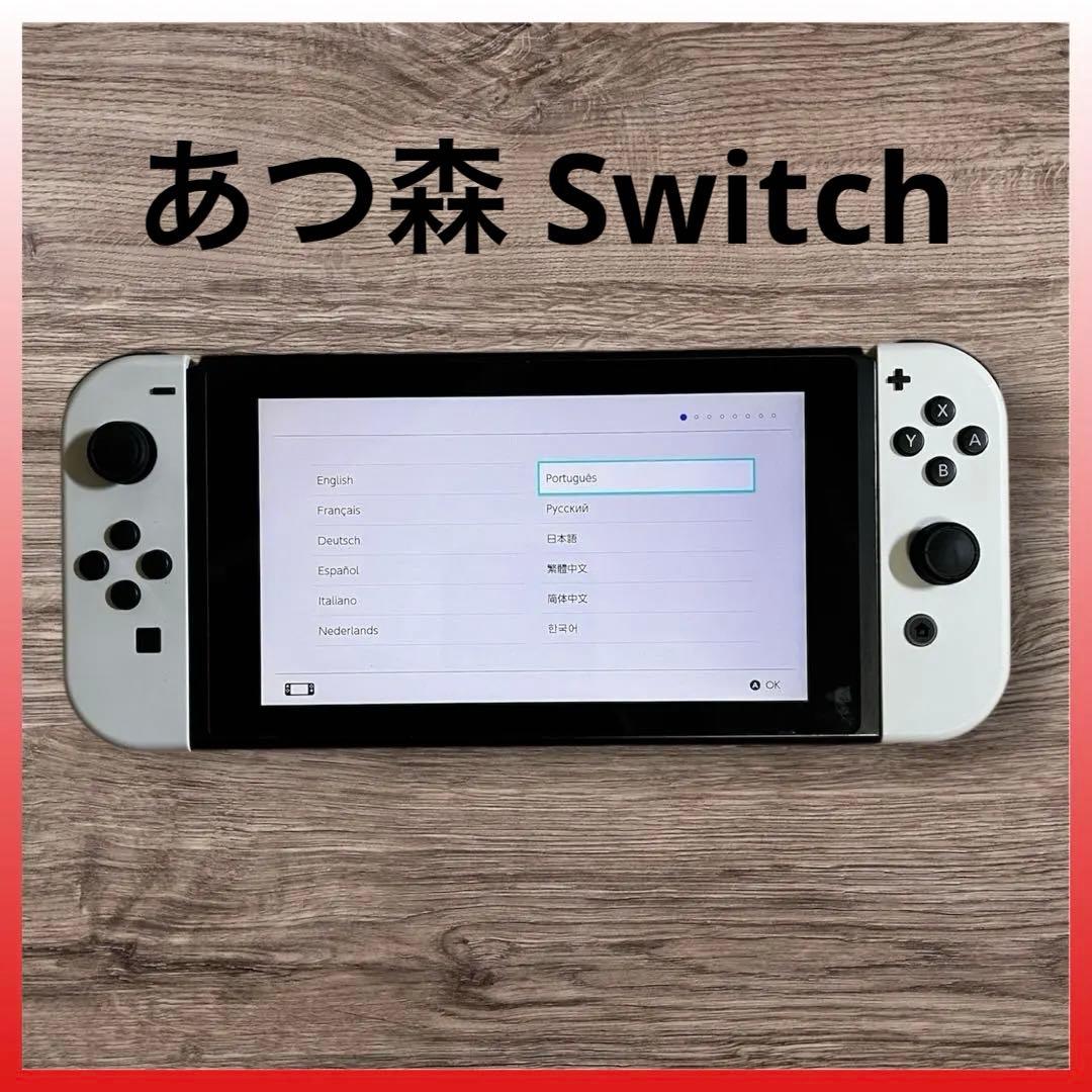 Nintendo Switch 本体 あつまれ どうぶつの森デザイン