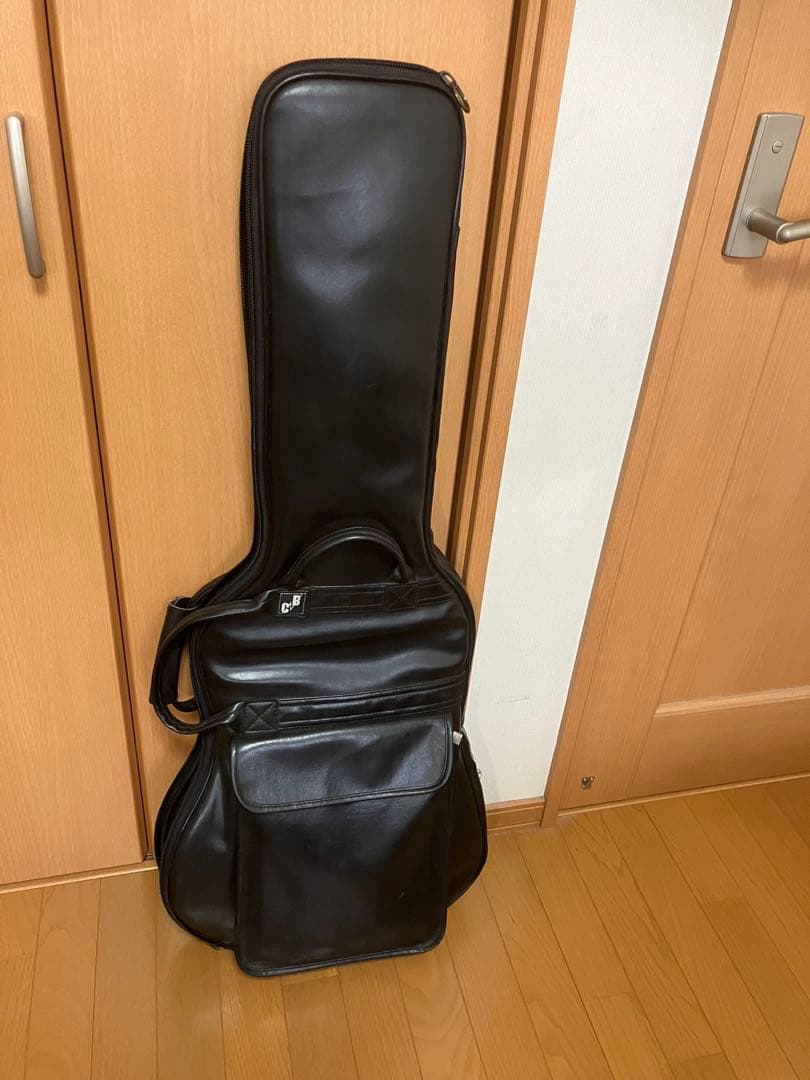 【再値下げします】AriaProⅡアリアプロ2エレキギター