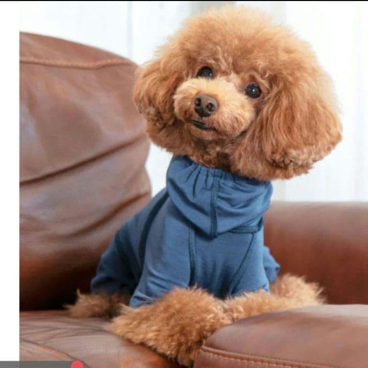 ALPHAICON アルファアイコン　TAKEFU タケフドッグウェア　ML